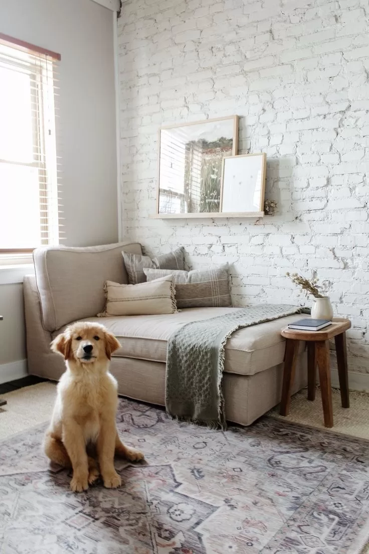 How to Keep Your Home Clean with Pets: 10 Essential Tips for Pet Owners